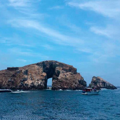 PALOMINO ISLANDS TOUR