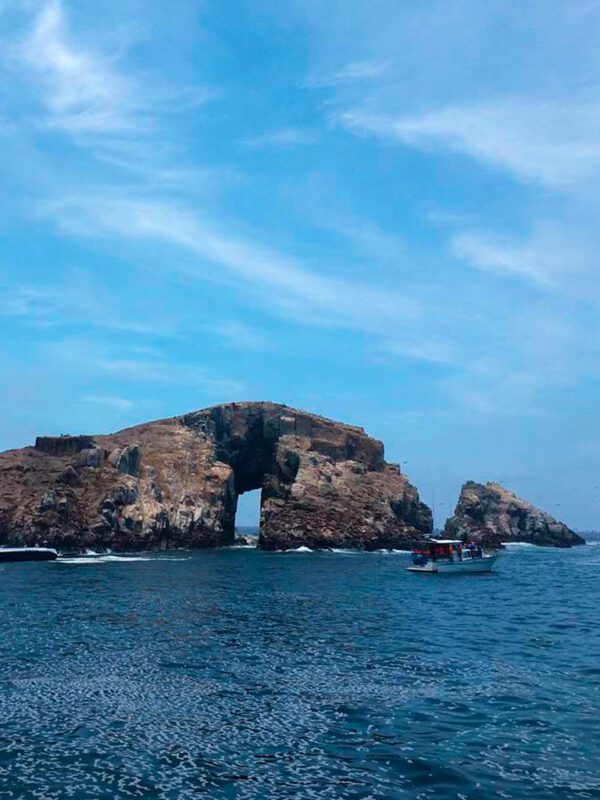 PALOMINO ISLANDS TOUR