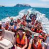 PALOMINO ISLANDS TOUR