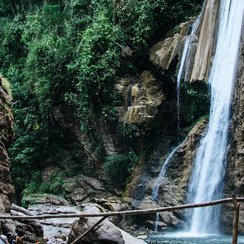 Selva Central Inolvidable