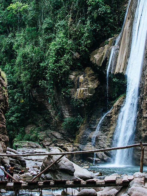 Selva Central Inolvidable