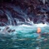 TOUR ISLAS PALOMINO