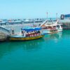 TOUR ISLAS PALOMINO