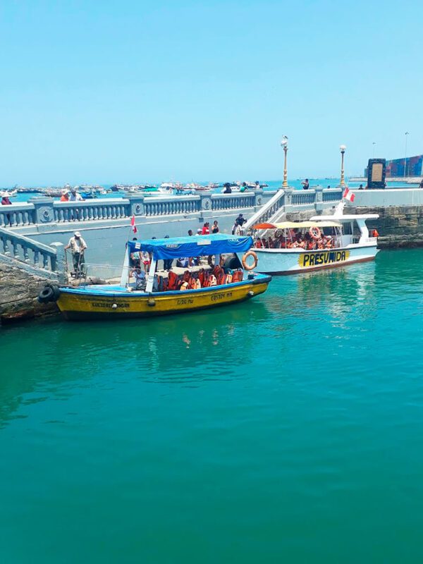 TOUR ISLAS PALOMINO