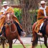 TOUR CABALLOS DE PASO